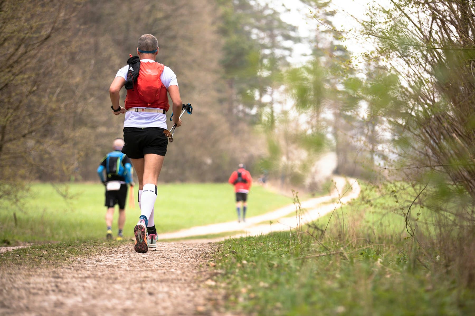 A group of runners on a forest trail